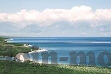 大象传媒本地下载-大象传媒，本地下载的便捷与优势