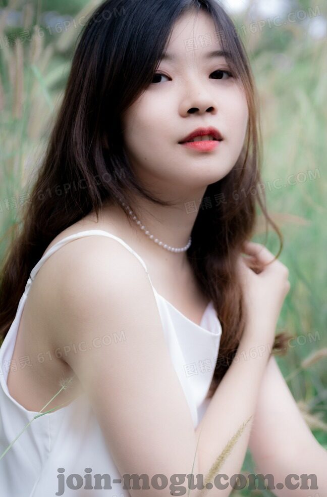 大象传媒高清免费观看-探索高清影视的无限魅力，大象传媒的免费观影之旅