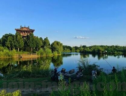 糖心app免费版安卓-揭秘糖心APP免费版安卓，温馨的视界，自由的选择